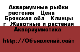 Аквариумные рыбки растения › Цена ­ 40 - Брянская обл., Клинцы г. Животные и растения » Аквариумистика   